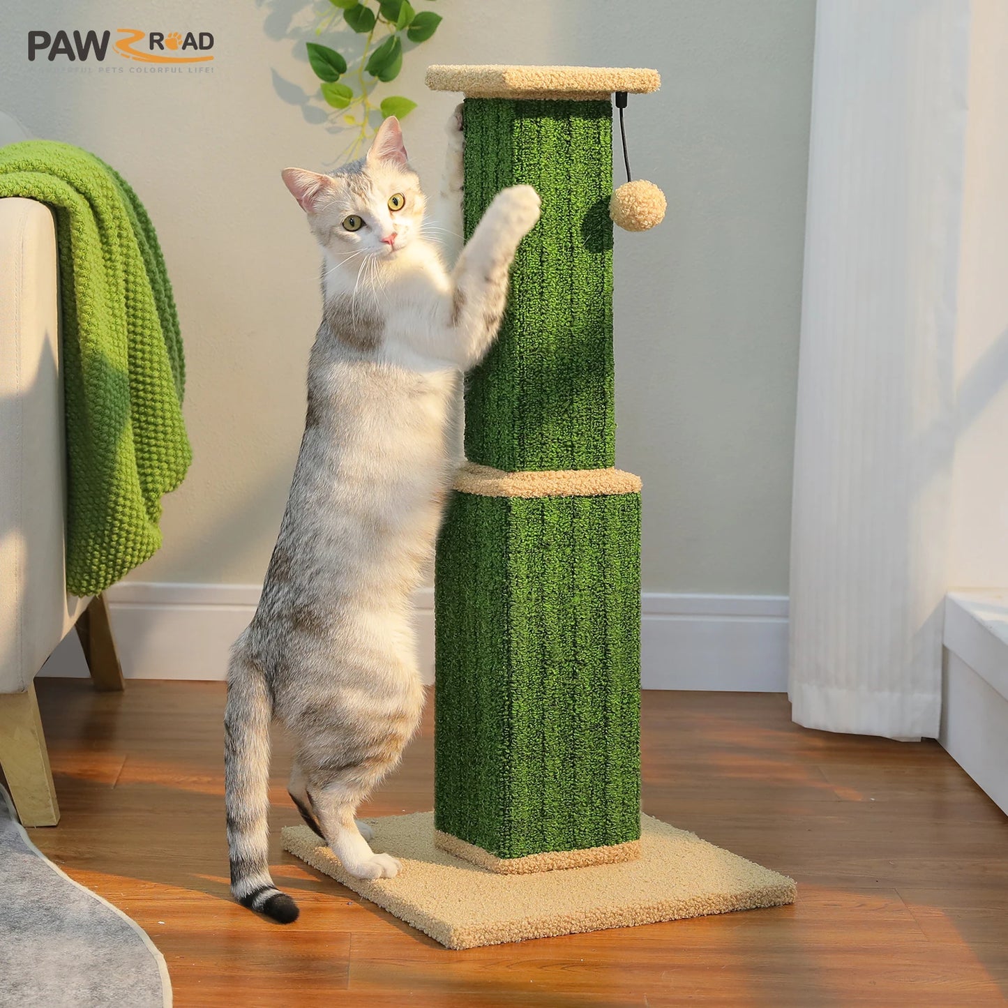 PAWZ Road Cat Scratching Post Indoor Ultimate Scratch Toy