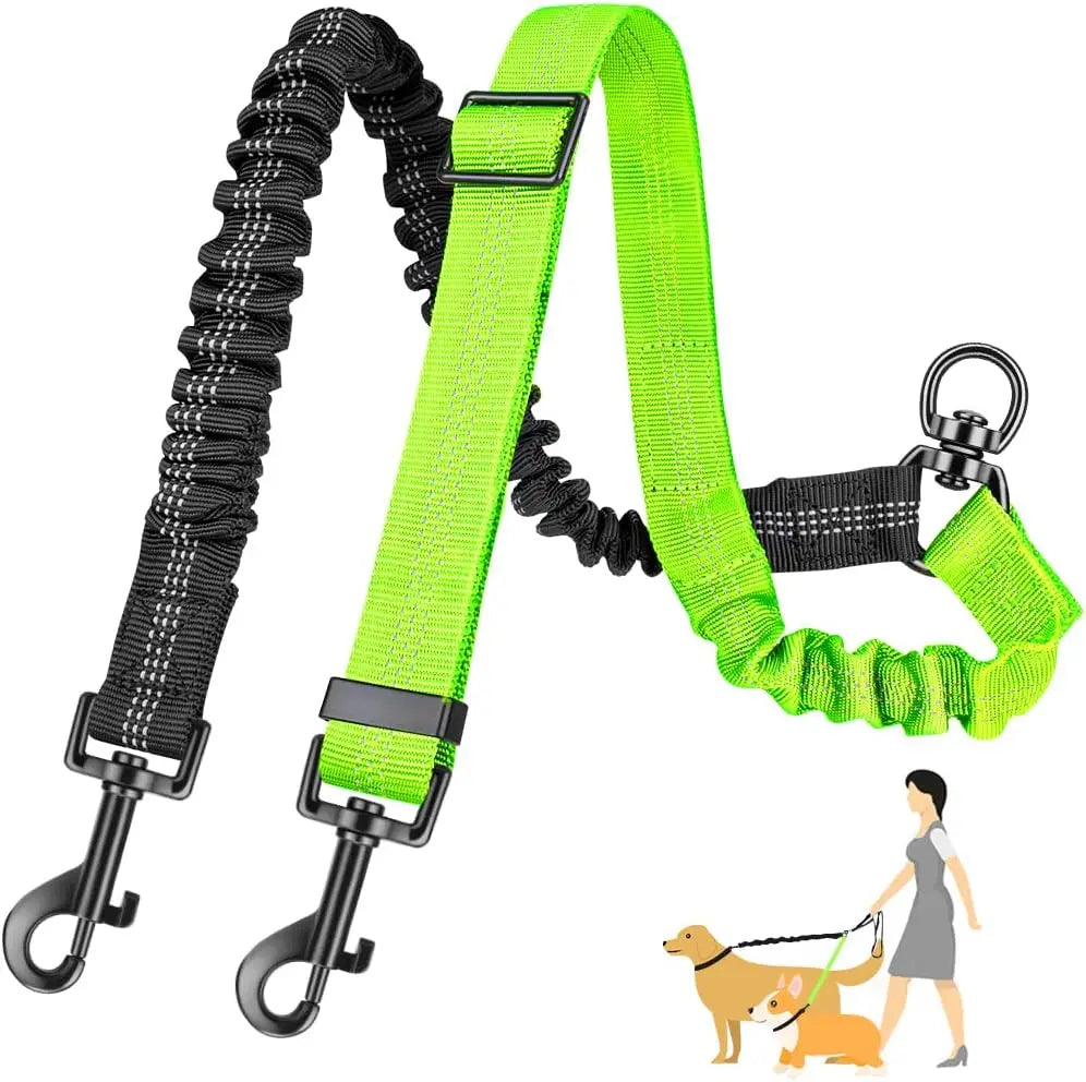 Double Dog Leash Attachment for Training